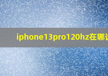 iphone13pro120hz在哪设置