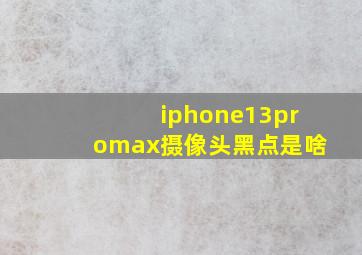 iphone13promax摄像头黑点是啥