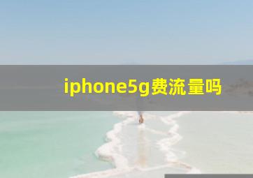 iphone5g费流量吗