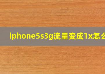 iphone5s3g流量变成1x怎么办