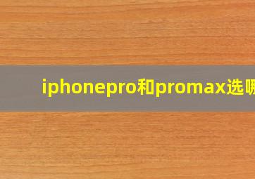 iphonepro和promax选哪个