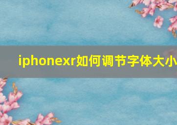 iphonexr如何调节字体大小