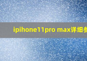 ipihone11pro max详细参数