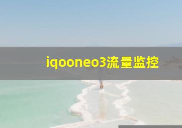 iqooneo3流量监控