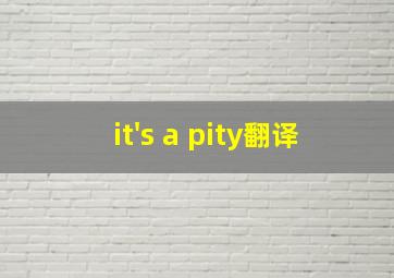 it's a pity翻译