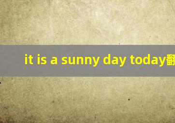 it is a sunny day today翻译