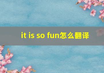 it is so fun怎么翻译