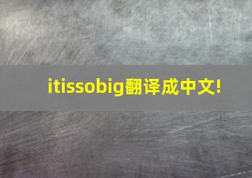 itissobig翻译成中文!