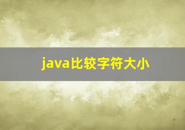 java比较字符大小