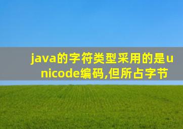 java的字符类型采用的是unicode编码,但所占字节