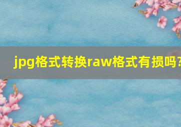 jpg格式转换raw格式有损吗?