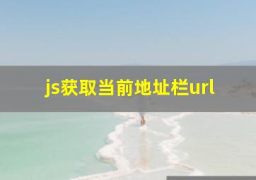 js获取当前地址栏url