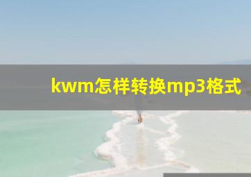 kwm怎样转换mp3格式