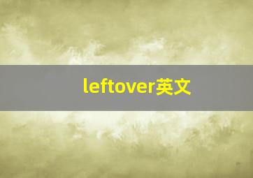 leftover英文