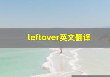 leftover英文翻译