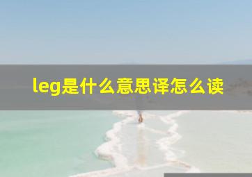 leg是什么意思译怎么读