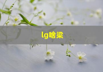 lg啥梁