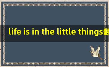 life is in the little things翻译