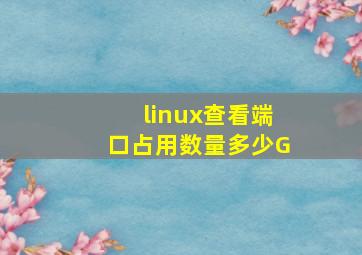 linux查看端口占用数量多少G