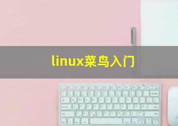 linux菜鸟入门