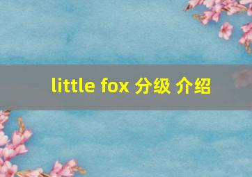 little fox 分级 介绍