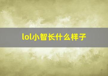 lol小智长什么样子