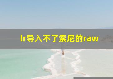 lr导入不了索尼的raw