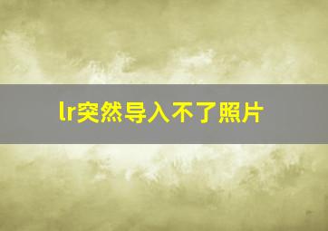 lr突然导入不了照片