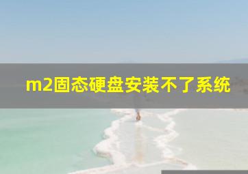 m2固态硬盘安装不了系统