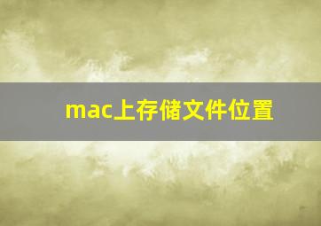 mac上存储文件位置