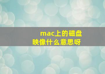 mac上的磁盘映像什么意思呀