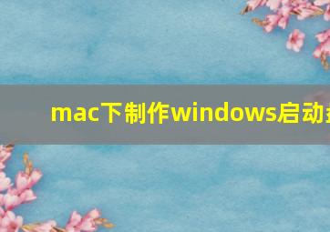 mac下制作windows启动盘