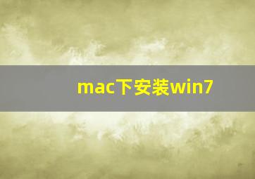 mac下安装win7