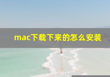 mac下载下来的怎么安装