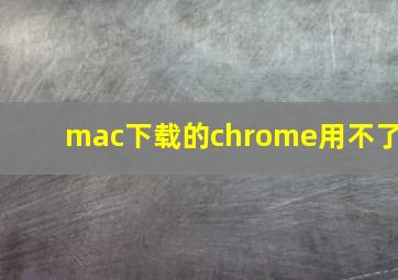 mac下载的chrome用不了