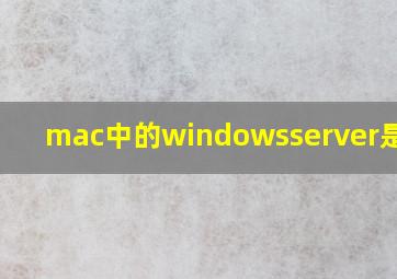 mac中的windowsserver是什么