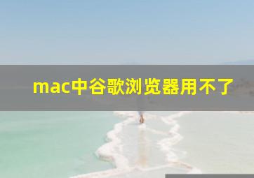 mac中谷歌浏览器用不了