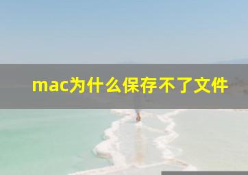 mac为什么保存不了文件