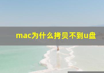 mac为什么拷贝不到u盘