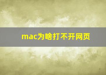 mac为啥打不开网页