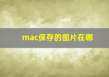 mac保存的图片在哪