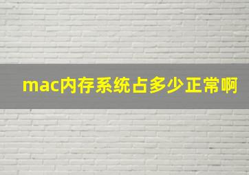 mac内存系统占多少正常啊