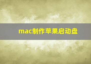 mac制作苹果启动盘