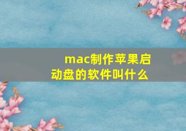 mac制作苹果启动盘的软件叫什么