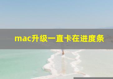 mac升级一直卡在进度条