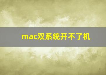 mac双系统开不了机