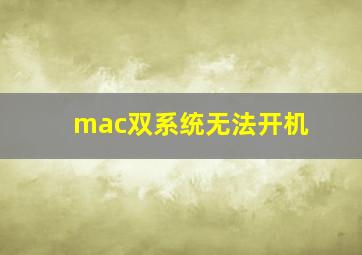 mac双系统无法开机