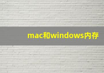 mac和windows内存