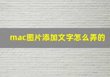 mac图片添加文字怎么弄的