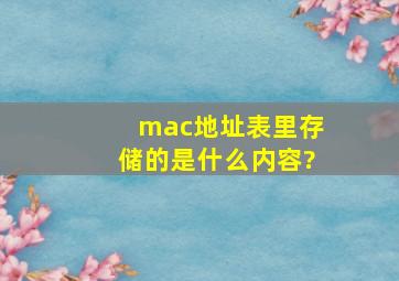 mac地址表里存储的是什么内容?